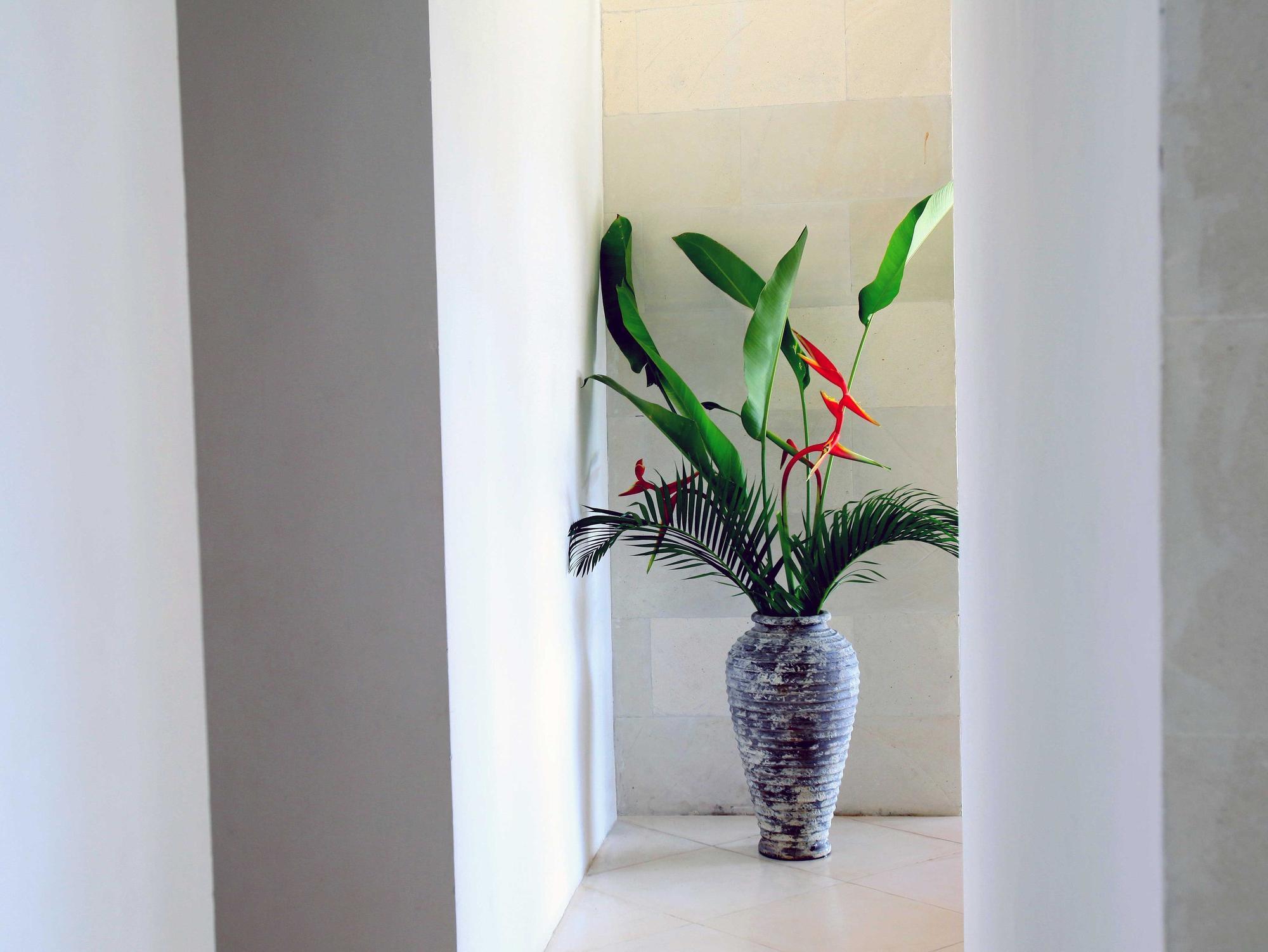 Jeda Villa Modern Stylish Luxury Villa Pemuteran Екстериор снимка